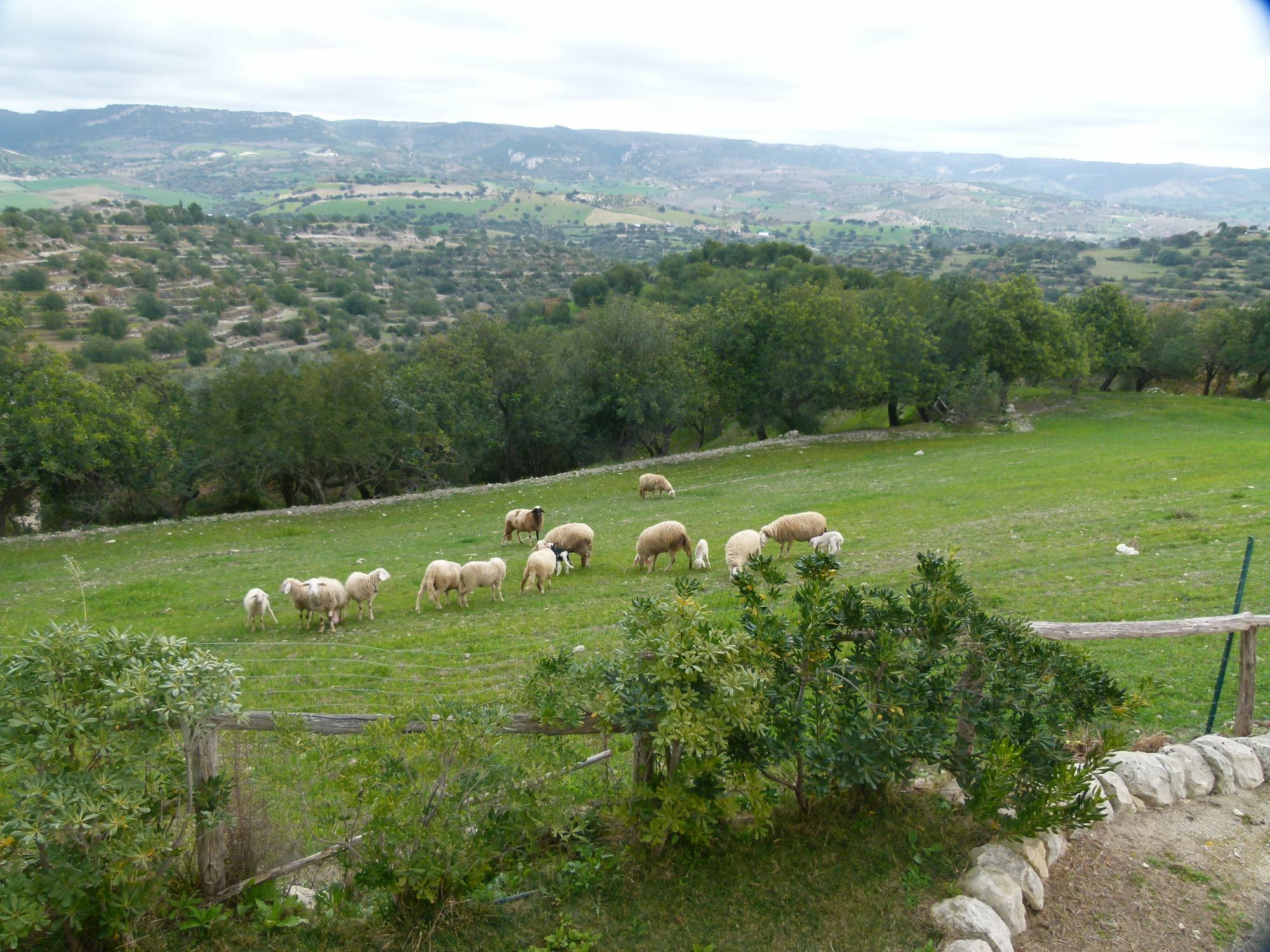 Agriturismo Villa Gaia Modica Exterior foto